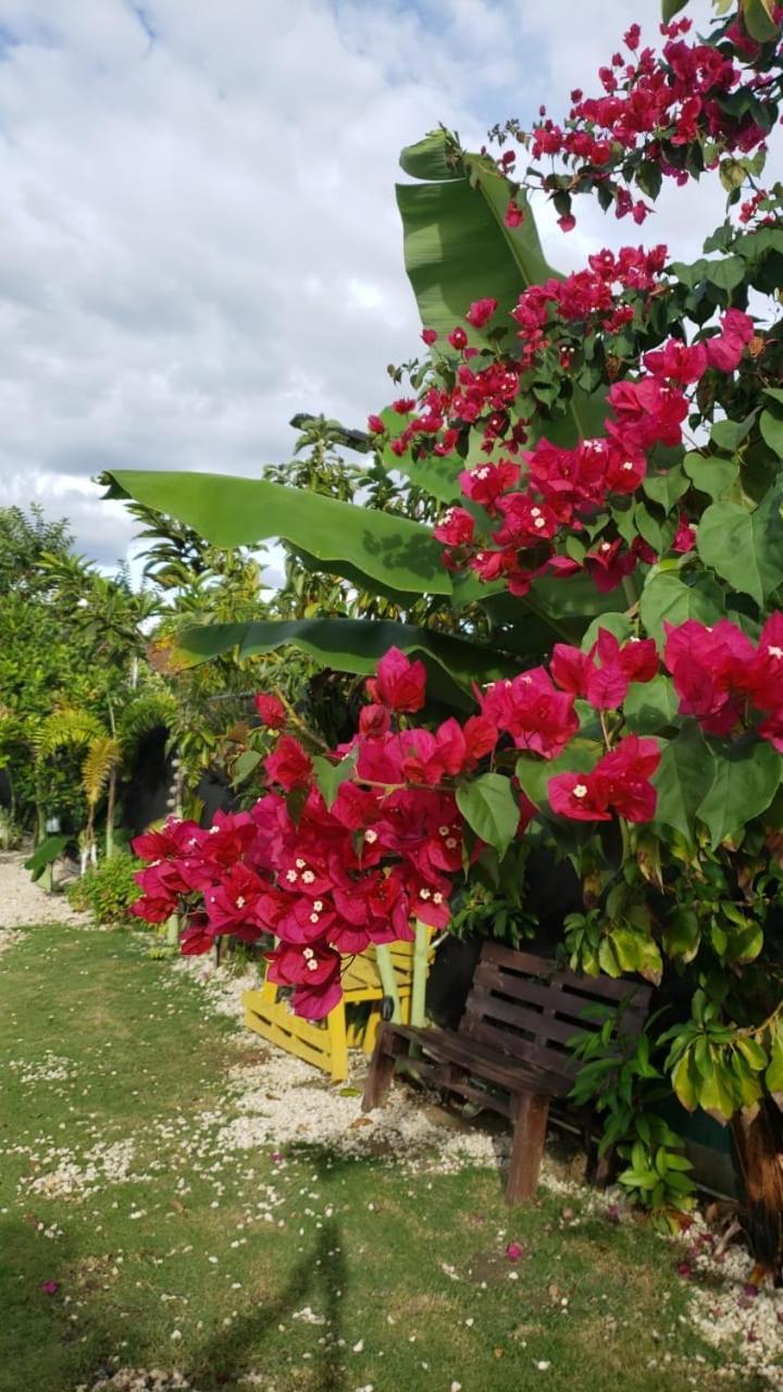 Casa De Campo Nerys San Juan de la Maguana Exteriör bild